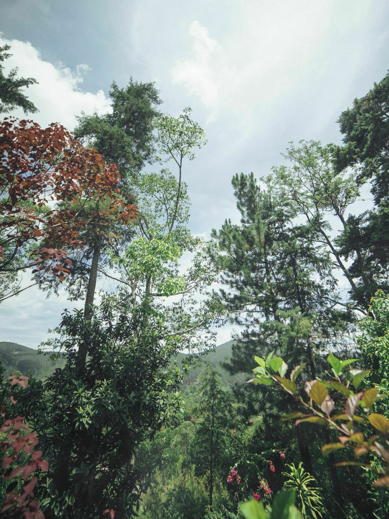 Villa Republic Bandarawela Exterior foto